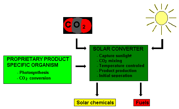Diagram of how Joule Unlimited works