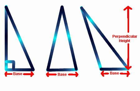 Diagram of the triangle bases